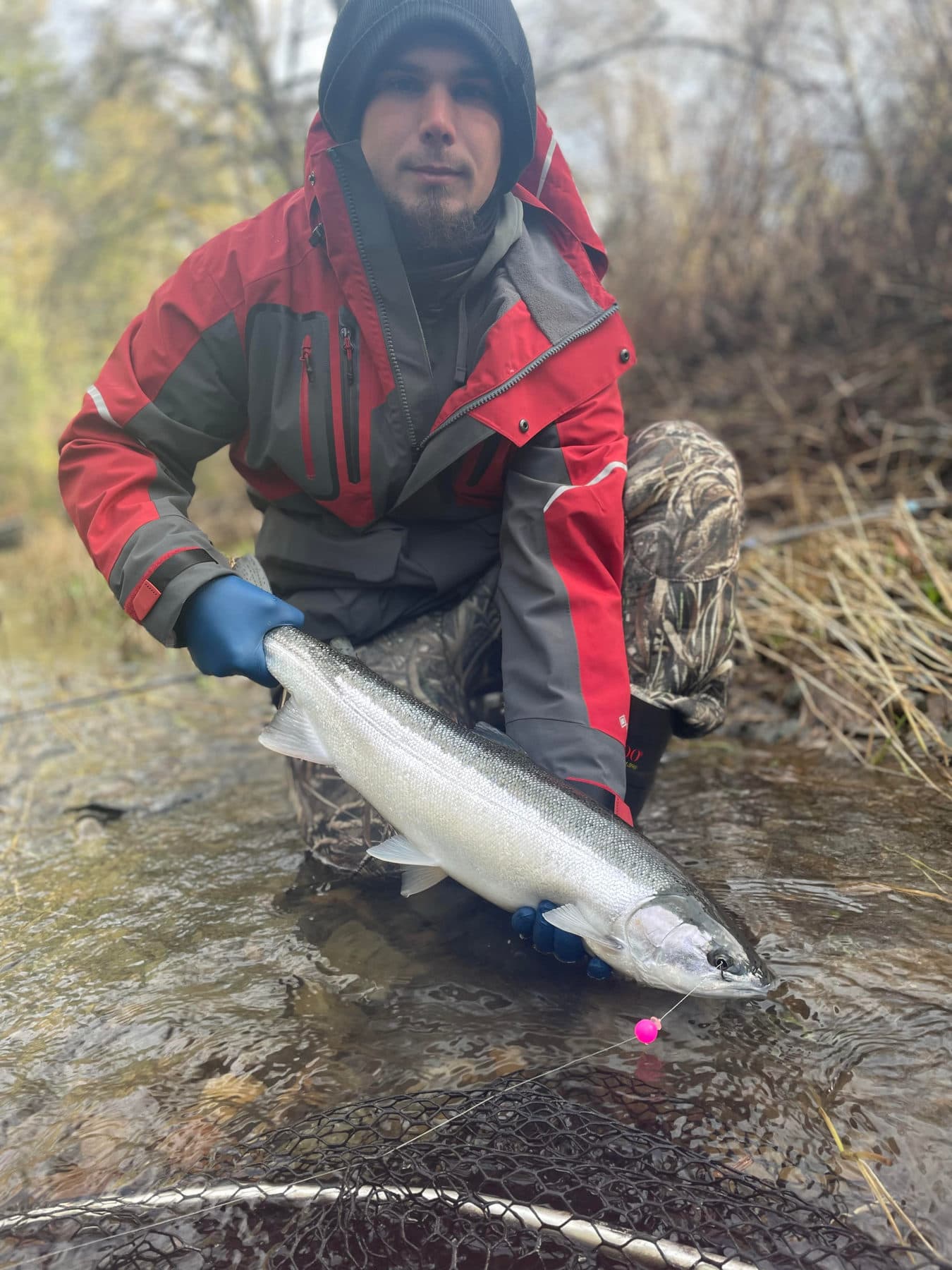 Releasing a summer steelhead back into the Columbia River